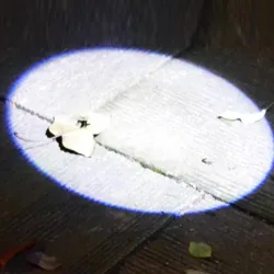 Pyöreän kuun muotoinen valo - alumiiniseokset - mini LED flashlight - soihtu