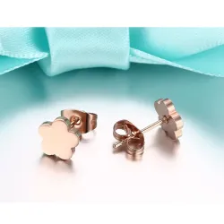 AretesPendientes de acero inoxidable de oro rosa 2 par