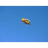 Bunte Biene - Nylonmilbe - 3 Meter