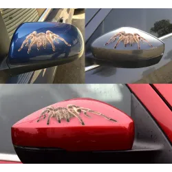 3D spider & escorpion & lagarto - autocolante - decalque