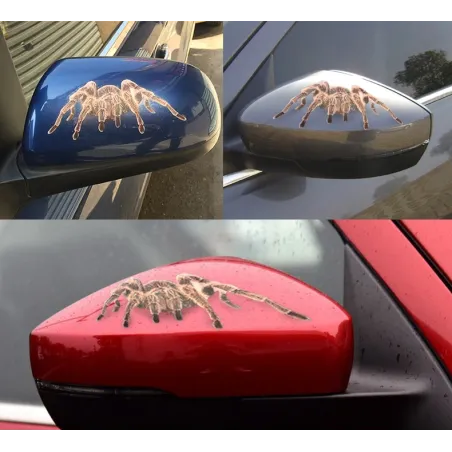 3D-hämähäkki ja skorpioni & lizard - auto tarra