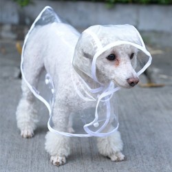 Dog raincoat - transparent