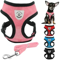Puppy & dog hengittävä nylon mesh valjastus ja leash set