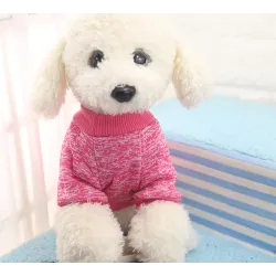 Ropa & zapatosSuéter de perro clásico suave