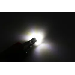 T10 W5W 3030 LED Lamp Auto Signaallamp 2 StuksT10