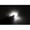 T10 W5W 3030 LED Bulb Car Signal Lamp 2 pc