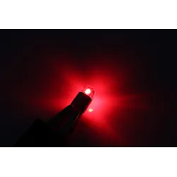 T10 W5W 3030 LED Lamp Auto Signaallamp 2 StuksT10