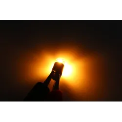 T10 W5W 3030 LED lampadina auto segnale lampada 2 pz