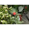 AspersoresInserción en tierra de 360 grados jardín riego regulable rociadores 50 piezas