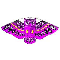 Cometacolorido búho fácil kite de mosca 110 * 50cm