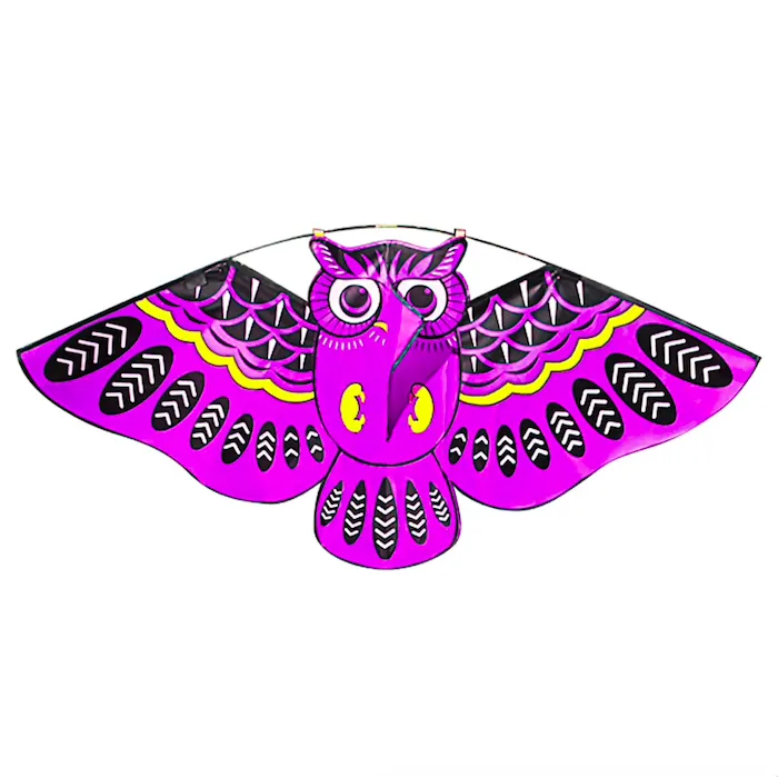 Colorful owl easy fly kite 110 * 50cm