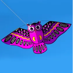 Cometacolorido búho fácil kite de mosca 110 * 50cm