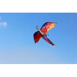 Färgglada flygande drake Kite - 140 * 120cm
