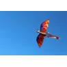 Colorful flying dragon - kite - 140 * 120cmKites