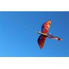 CometaColorido dragón volador - kite - 140 * 120cm