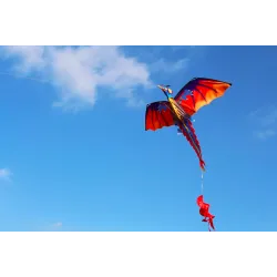 Färgglada flygande drake Kite - 140 * 120cm