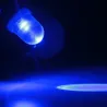 E10 F8 1SMD 12V LED car light bulb 100 pcsLED