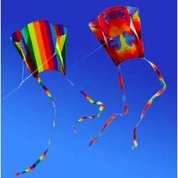 Utomhus färgglada kite