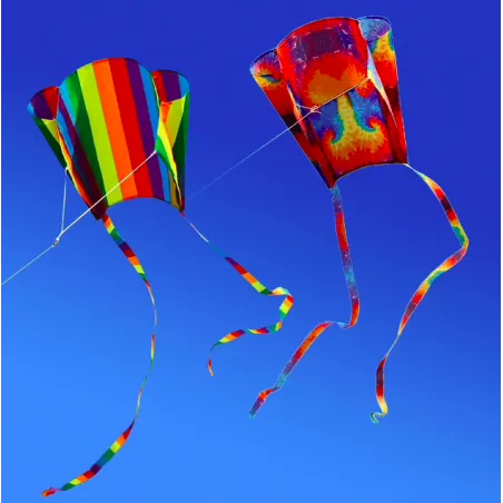 Utomhus färgglada kite