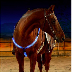 Harnais à cheval LED bandoulière collier poitrine