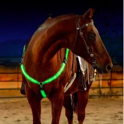 colar de peito de arnês de cavalo LED