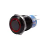 19mm 12V LED auton vedenpitävä itselukitus latch push painiketta