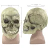 Skull full head halloween maskMasks