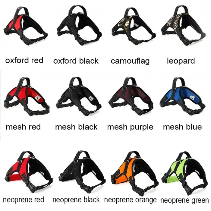 Hundens sele collar blyväst