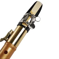 C / F tone mini saxofoonSaxofoon