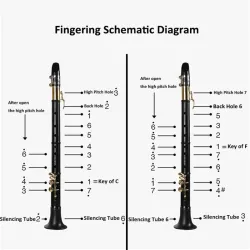 C / F tone mini saxofoonSaxofoon