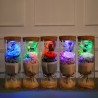 Bouquet de roses infinies dans un vase en verre avec lumière LED