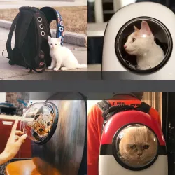 Travel Capsule andas bär ryggsäck för hund & katt - husdjur