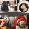 Travel Capsule andas bär ryggsäck för hund & katt - husdjur