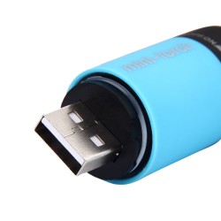 Mini 0.3W torcia elettrica USB LED con portachiavi