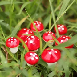 Puutarhan koristelu - mini punainen valkoinen piste sienet 2cm 10 pcs