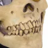 Schedel - volgelaats latex masker voor halloweenFeest