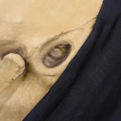 Skull - fullt ansikte latex mask för halloween