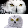Owl-muoto - aurinkovoimaa - ulkona - puutarhavalaisin