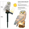 Owl shape - solar powered - outdoor - garden light lampSolar lighting