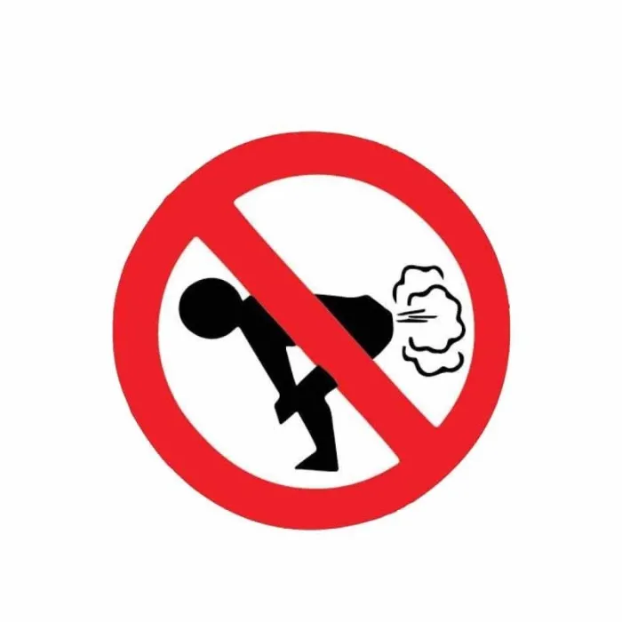 PegatinasNo Farting - pegatina de coche - 12 * 12cm