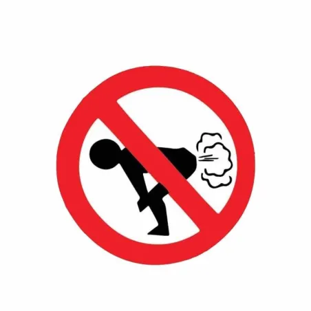 No Farting - auton tarra - 12 * 12 cm