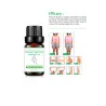 Natural essential massage oil - slimming - fat burning - 2 pcs