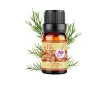 Utvidgning - bröst fastsättning - eterisk massageolja - 10 ml