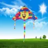 Triangle smiling face - kite 80 cmVliegers