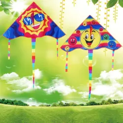 Triangle smiling face - kite 80 cmVliegers