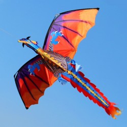 3D dragon kite with tail & line 100m
