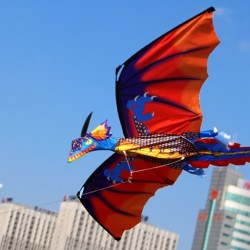 3D dragon kite with tail & line 100m