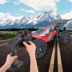 RC car REMO 1655 1/16 2.4G 4WD - waterproof - brushless - off roadCars