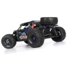 FS Racing FS33675P 1/8 2.4G 4WD - brushless - waterproof - desert buggy - RC car