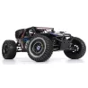 FS Racing FS33675P 1/8 2.4G 4WD - brushless - waterproof - desert buggy - RC car